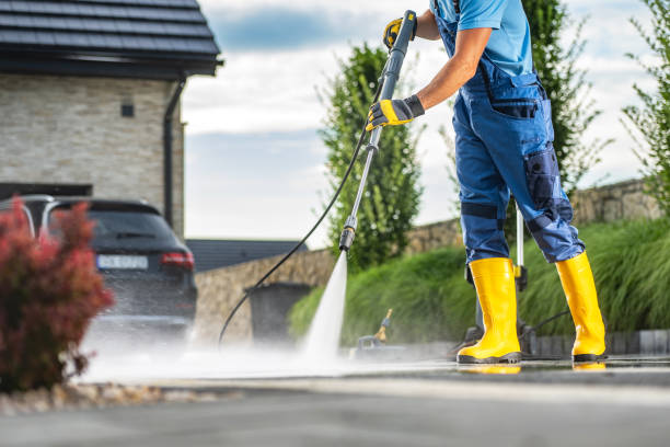 Best Solar Panel Cleaning  in Ridge Wood Heights, FL